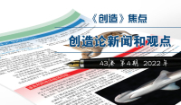 《焦点》—创造论新闻和观点