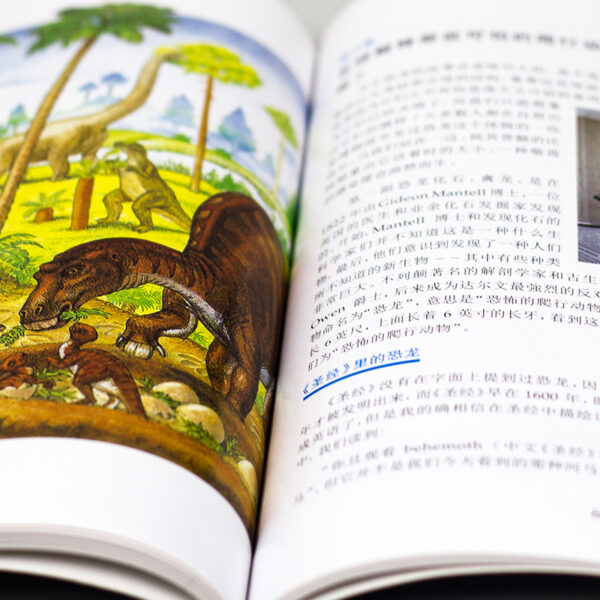 《从科学与圣经看创造论的奇妙故事》