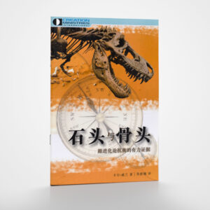 《石头与骨头》