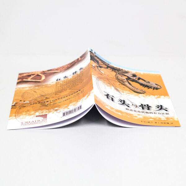 《石头与骨头》