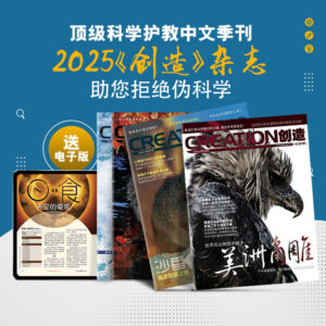 2025年创造杂志（赠送电子版）